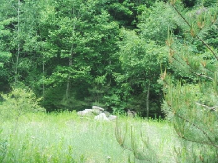 사진6번 [목록번호1번 부동산 일부 전경]