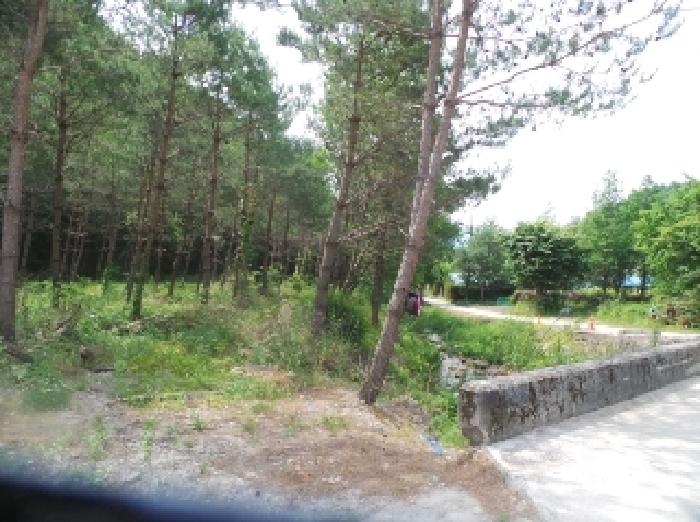 사진35번 [목록번호5번 부동산 전체전경]