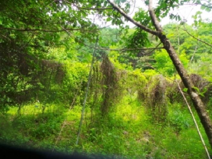 사진32번 [목록번호4번 부동산 일부 전경]