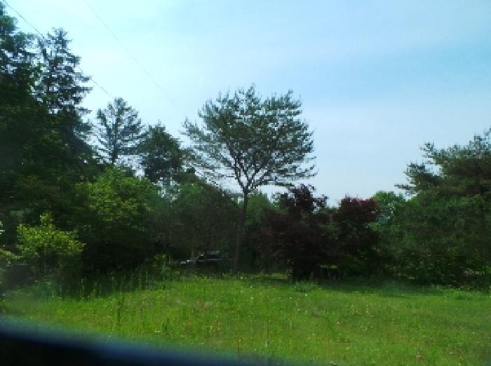 사진60번 [목록번호10번 부동산 일부 전경]