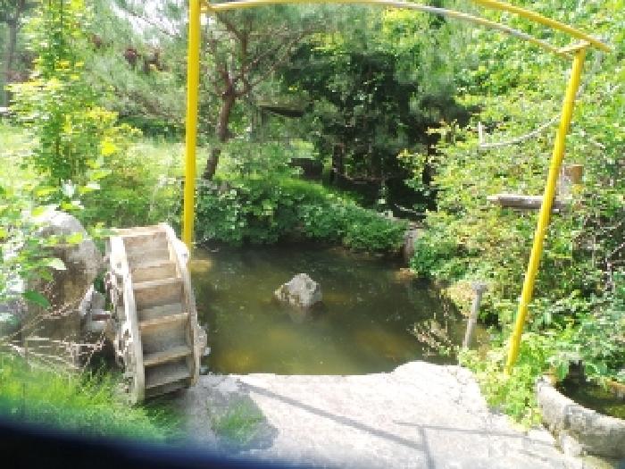 사진63번 [목록번호10번 부동산에 소재하는 연못 전경]