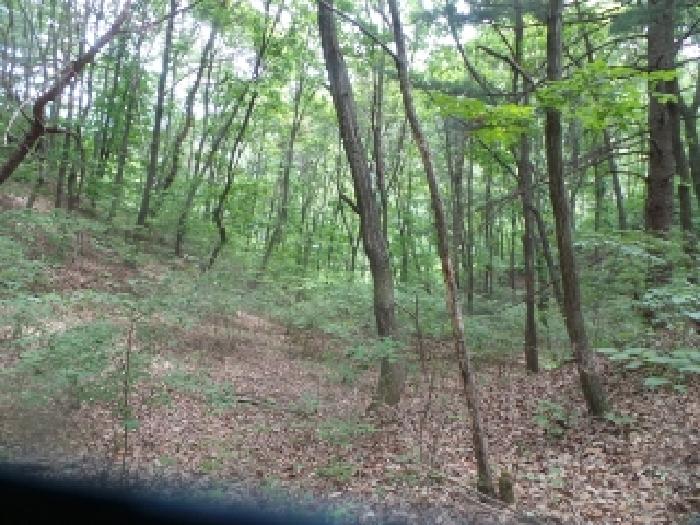 사진30번 [목록번호4번 부동산 일부 전경]