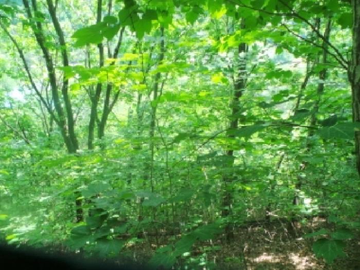 사진27번 [목록번호4번 부동산 일부 전경]