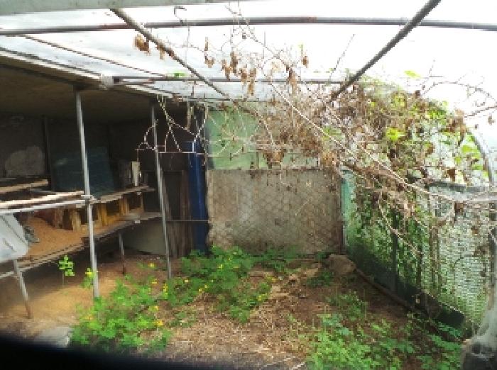 사진15번 [목록번호1번 부동산에 소재하는 철파이프조 하우스  내부 전경]