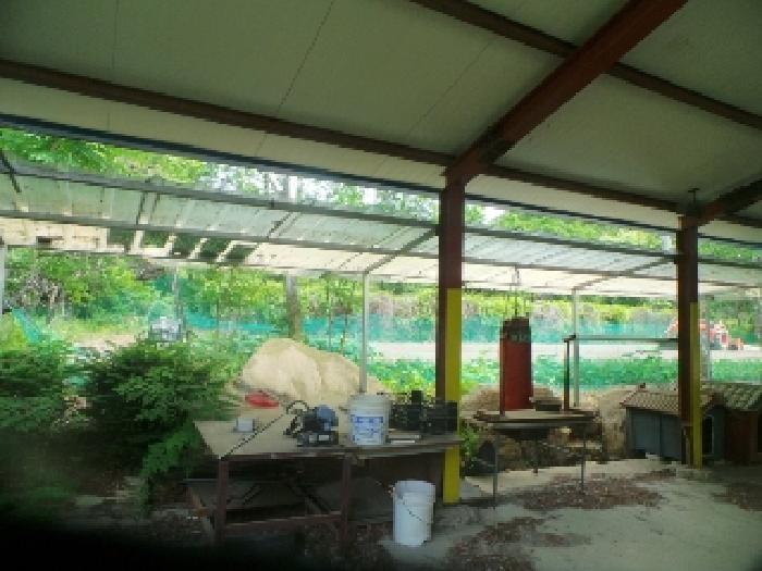 사진52번 [제시외 건물 ㅅ 전경]