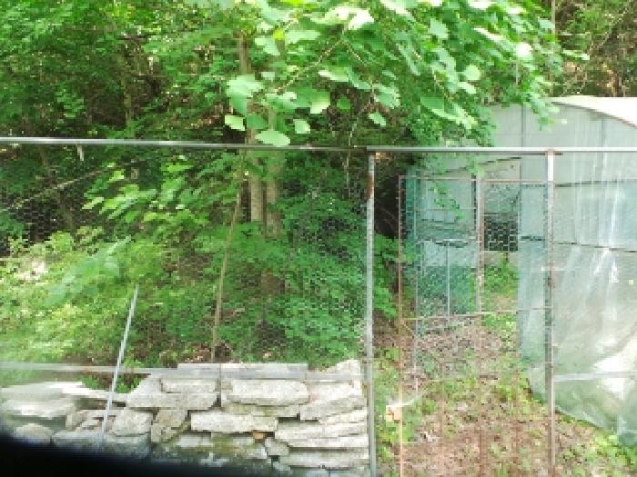 사진22번 [목록번호1번 부동산에 소재하는 철골조 전경]