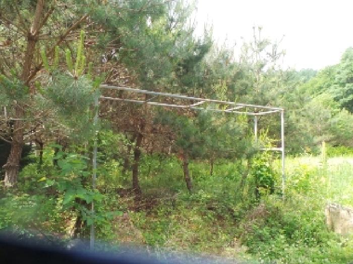 사진38번 [목록번호6번 부동산 철골조 전경]