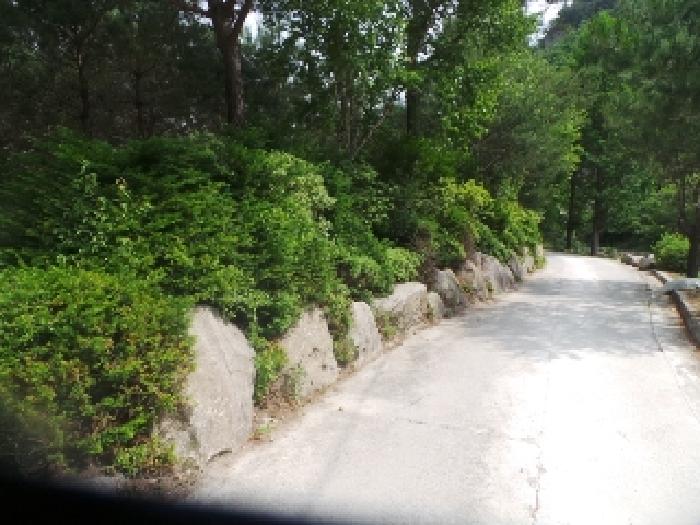 사진43번 [목록번호7번 부동산 일부 전경 및 석축 및 일부 도로 전경]