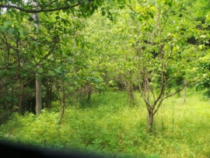 사진5번 [목록번호1번 부동산 일부 전경]