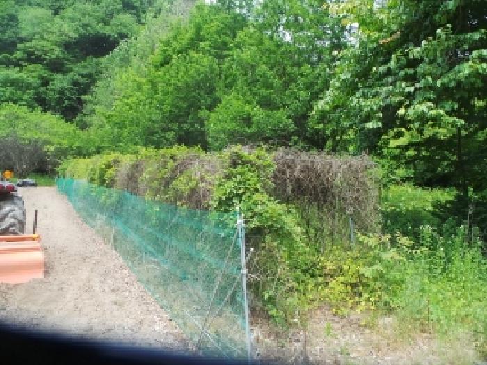 사진62번 [목록번호10번 부동산 일부 전경]