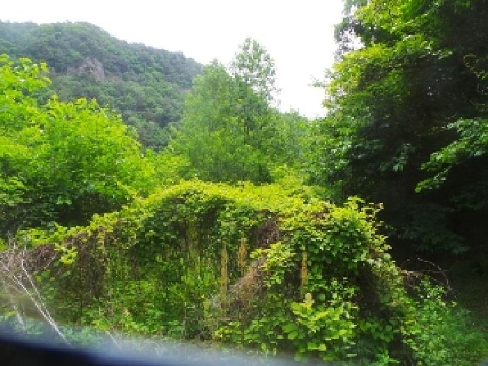 사진34번 [목록번호4번 부동산 일부 전경]