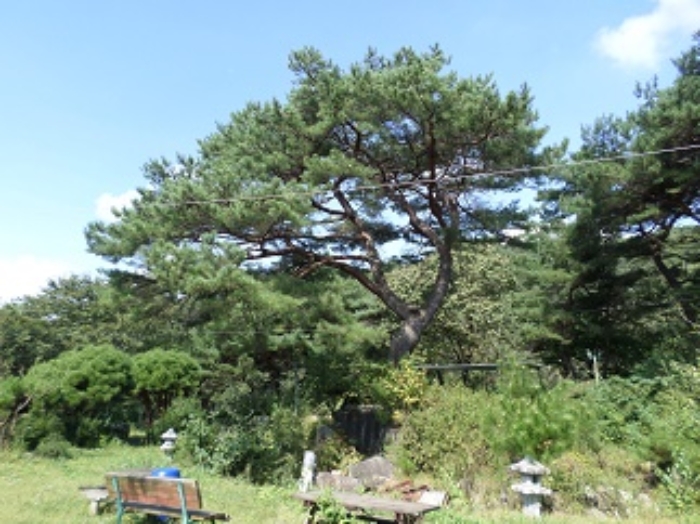 목록5 토지 경계 부분의 조경