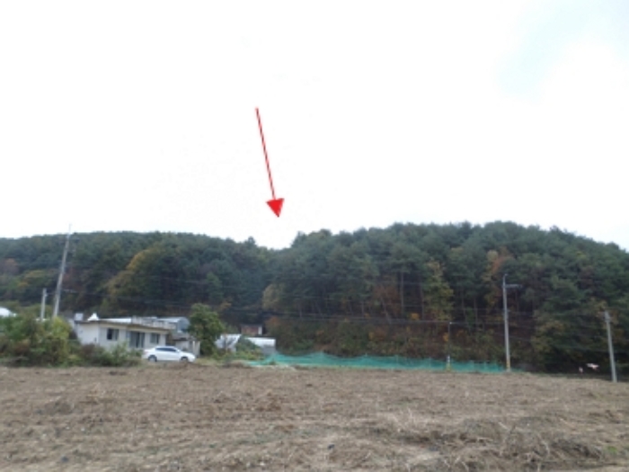 이 사건 임야 일대(서측에서 촬영)