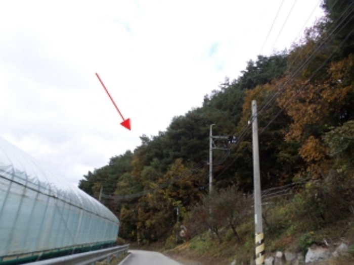 이 사건 임야 일대(남측에서 촬영)