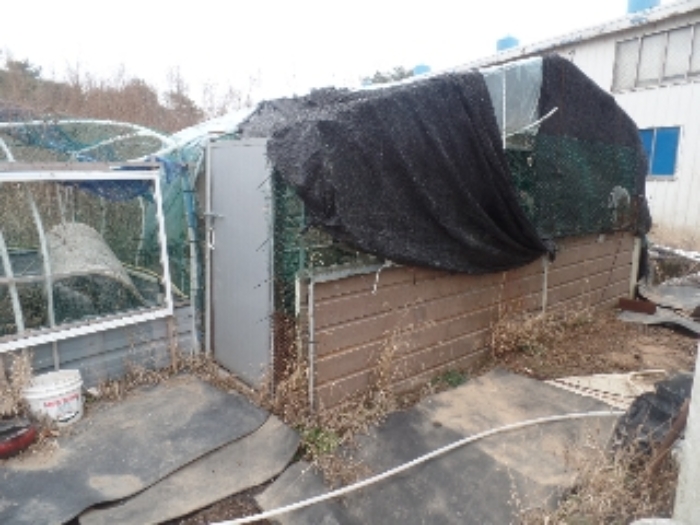 제시외 ㄴ.닭장