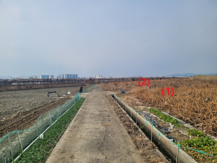 본건 토지 남측