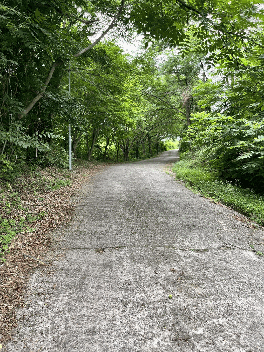 일련번호(17) 토지 및 수목 등