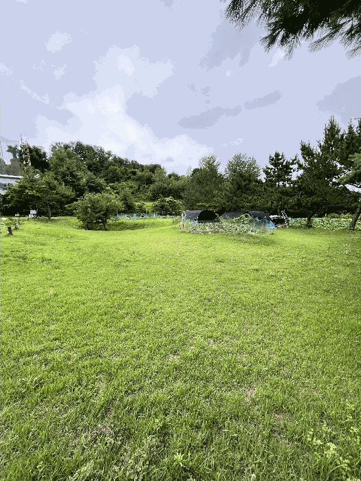 일련번호(15) 토지 및 수목, 페어웨이 등