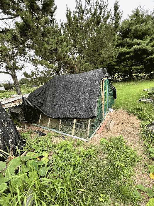 제시외건물(ㄱ)