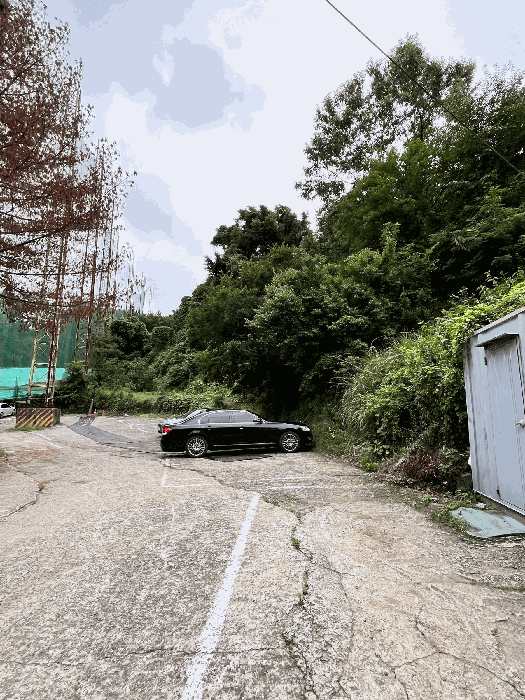 일련번호(12) 토지 및 수목 등