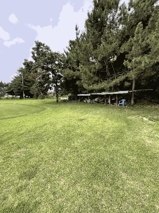 일련번호(7) 토지 및 수목, 페어웨이 등