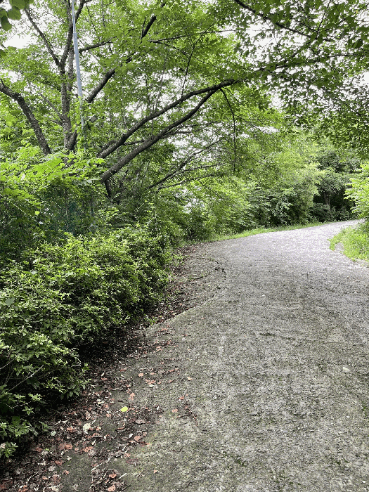 일련번호(9) 토지 및 수목 등