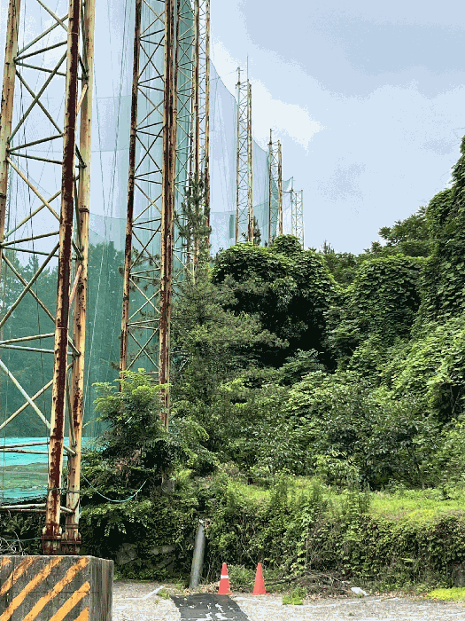 일련번호(13) 토지 및 수목 등