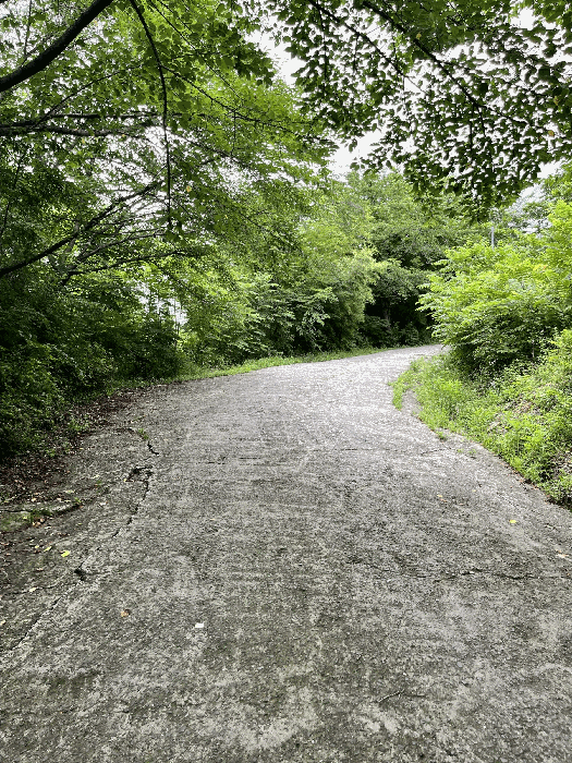 일련번호(16) 토지 및 수목 등