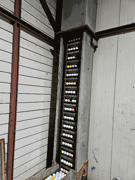 기계기구 : 공 이동 콘베어