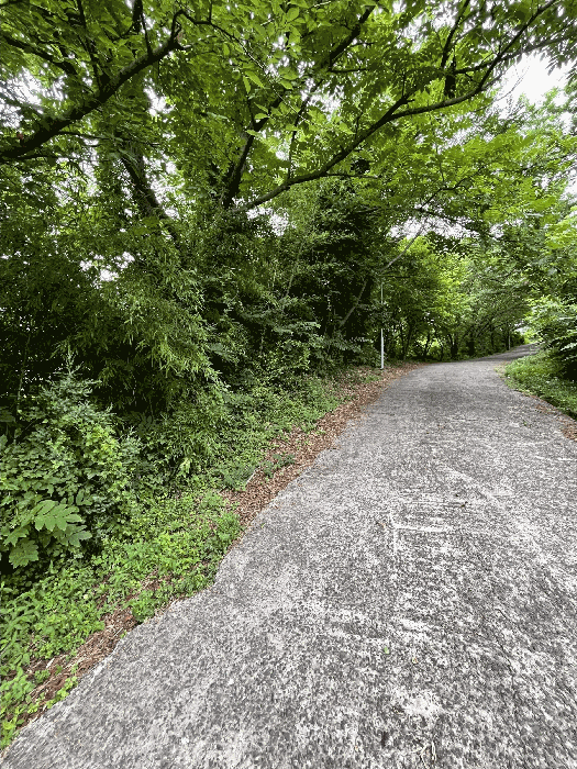 일련번호(10) 토지 및 수목 등