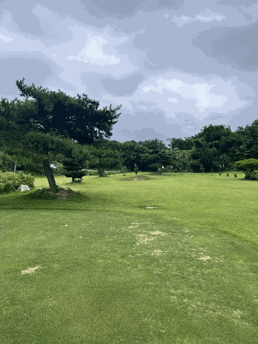 일련번호(5) 토지 및 수목, 페어웨이 등