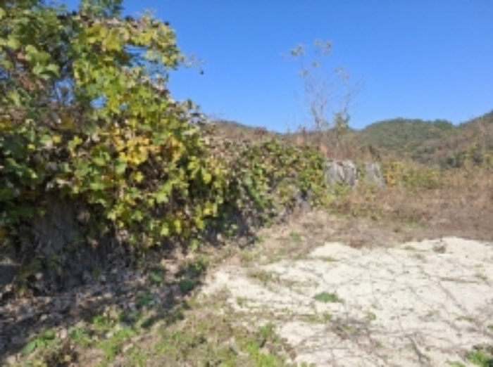 물건번호5 석축.