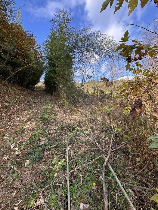 토지 (3) 일부 전경 - 1