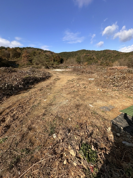 토지 (5) 조성 부분 전경