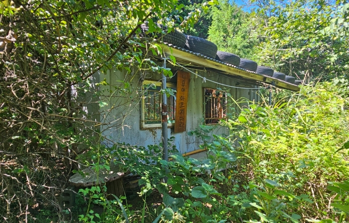 컨테이너박스(평가 제외)