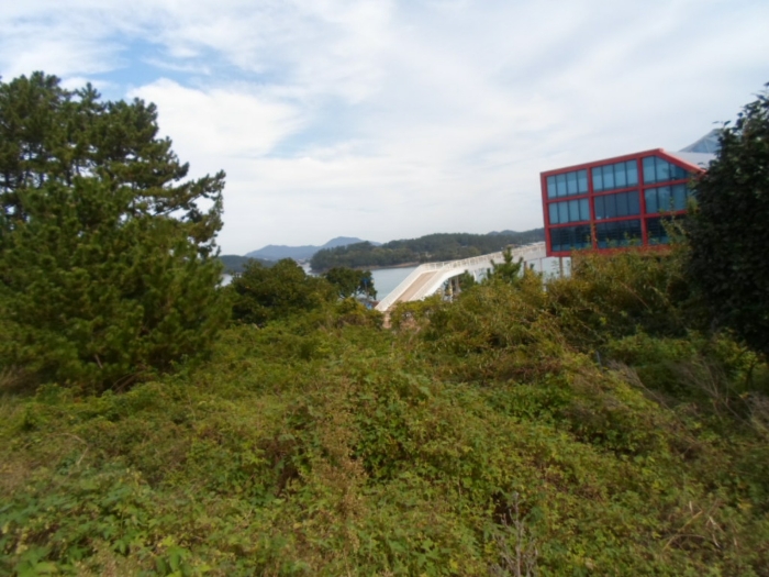 기호 8 남서측에서 촬영
