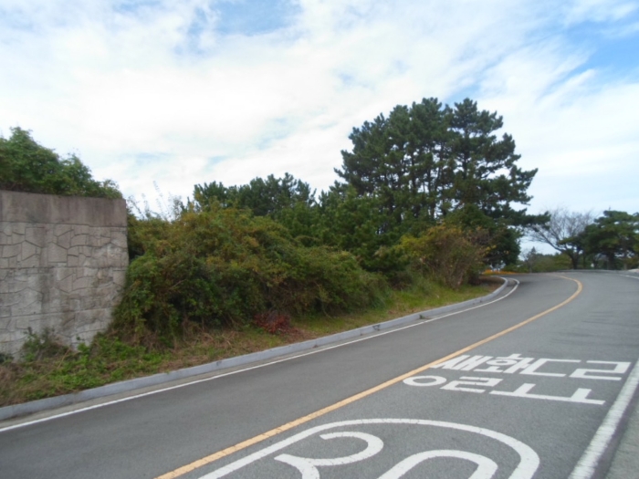 기호 1 남동측에서 촬영