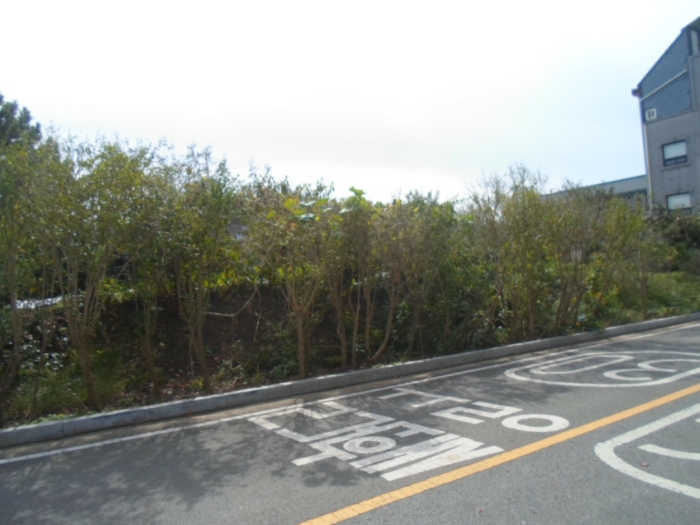 기호 2 북측에서 촬영
