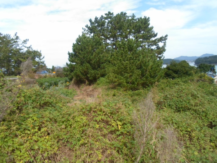 기호 3 남측에서 촬영
