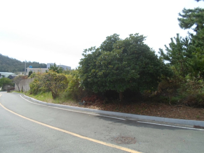 기호 8 북동측에서 촬영
