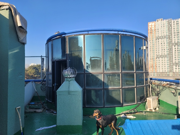 【 본 건 일련번호(4-가) 6층 】