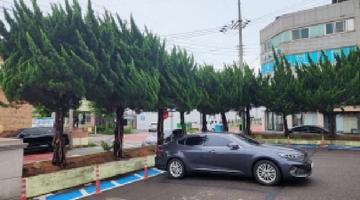 목록1 토지상 제시 외 나무