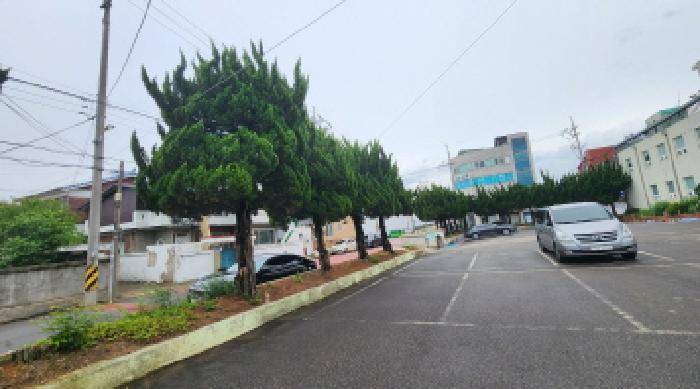 목록1 토지상 제시 외 나무