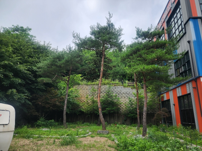 기호(2)토지(일영리 64-42)
서측 부분 전경