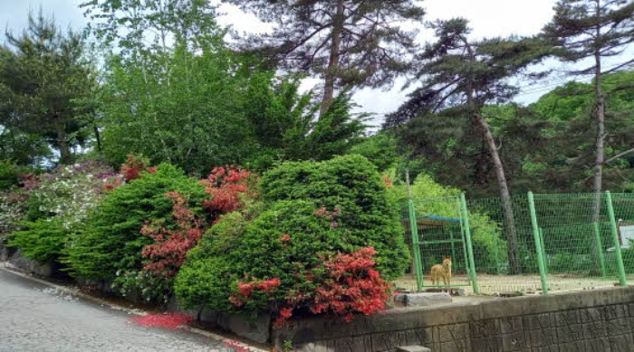 목록 1. 토지 전경