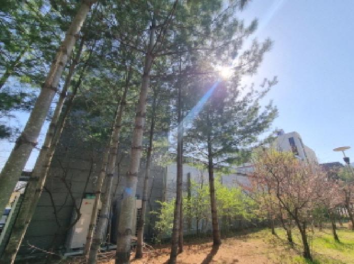 목록2 모습(북쪽)