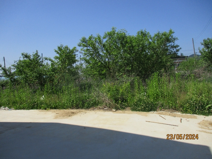 기호(5)토지 과수원 부분