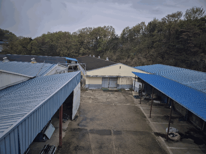 본건 기호(1,2) 토지 내부 전경