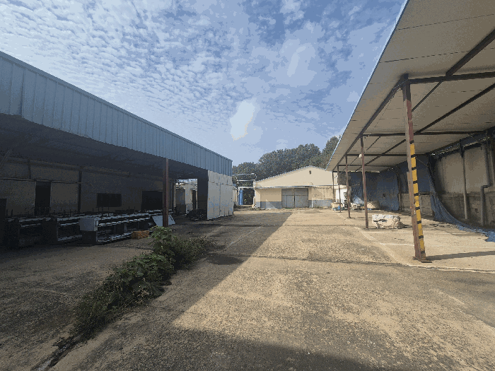 본건 기호(1,2)토지 내부 전경