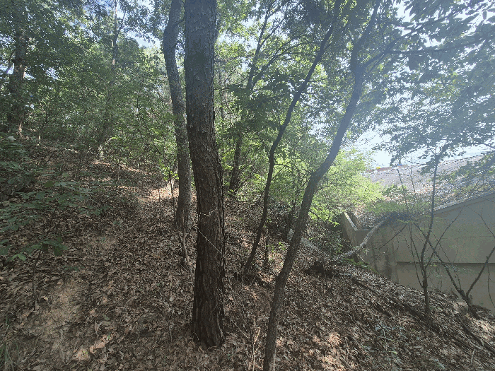 본건 기호(4) 토지 전경(남서측에서 촬영)